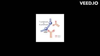 Alemtuzumab mode of action [upl. by Devehcoy148]