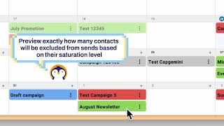 DESelect Engage Product Walkthrough  NoCode Frequency Capping for Salesforce Marketing Cloud [upl. by Adkins]