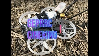 GEPRC Cineking 4kRuncam Hybrid 4kをレビュー！ [upl. by Alita1]