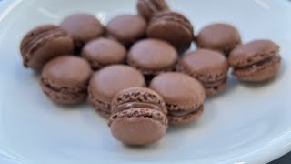 HindiMacarons Recipehomemadechocolate macaron recipeA complete guide to making Macarons Recipe [upl. by Arundell]