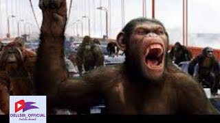 RISE OF THE PLANET OF THE APES CLIP COMPILATION 2011dellsir official [upl. by Fatsug]