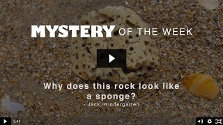 Why does this rock look like a sponge [upl. by Nosned]