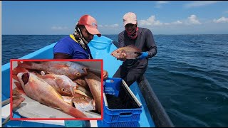 Pesca de Pargos con simbra en Alta mar [upl. by Hirasuna]