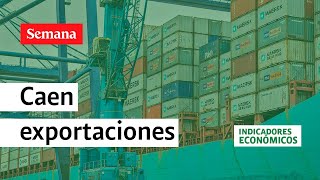 Caen exportaciones en agosto de 2023 en Colombia ¿se tocó el piso [upl. by Publea326]