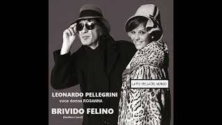 BRIVIDO FELINO [upl. by Suedaht]