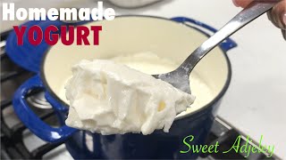 HOW TO MAKE YOGURT AT HOME WITH amp WITHOUT A YOGURT STARTER  HOMEMADE YOGURT FROM SCRATCH [upl. by Jasun3]