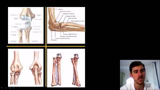 ANATOMIA E CINESIOLOGIA ARTICULAÇÃO DO COTOVELO [upl. by Audie]