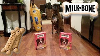 Milk Bone Medium Dog Biscuits Review [upl. by Wina73]