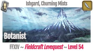 FFXIV Botanist Leves Level 54  Ishgard Churning Mists  Heavensward [upl. by Lehsar]