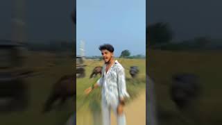 जाति बोलमें खेसारी बारे में ⚔️😈😡🥀 song bhojpuri newsong dance bhojpurisong tiktok [upl. by Esiralc149]