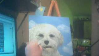 Painting a Bichon Frise [upl. by Eignat]