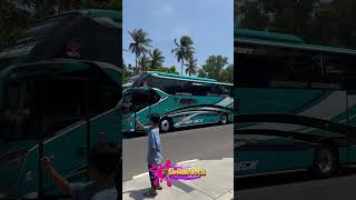 RESIMEN SAFANA HOLIDAY basuri viralvideo busmania funny shorts [upl. by Crawford]