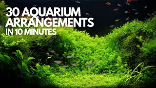 30 Stunning Freshwater Aquarium Designs in 10 Minutes  Aquaristic Vibes [upl. by Rahab510]