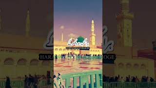 Hara Gumbad jo Dekhoge Zamana Bhul jaoge😍🌹😍🕋🕋islamic statusshortstrendingmadinaislamicnamaj🌹🕋🌹🌹 [upl. by Fidellia]