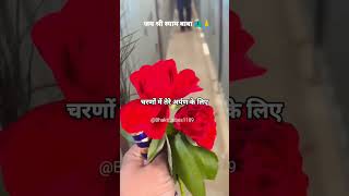 💞Shyam baba 🦚 shyam krishna viralshort viralvideo status bhaktibhajan bhaktisong [upl. by Keldah183]