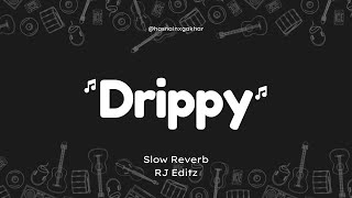 DRIPPY  Sidhu Moosewala  Slowed  Reverb  RJ Editz [upl. by Finn]