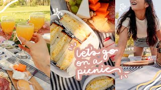 how to have a perfect picnic 🧺 an aesthetic summer vlog with friends [upl. by Johnny902]