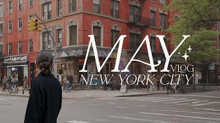 nycbrooklyn vlog 🗽 lunch in the east village broadway show cafes growing shiso from seed [upl. by Anastase]