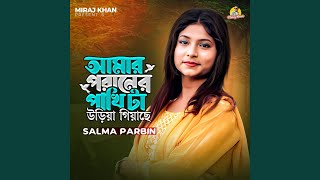 Amar Poraner Pakhi Ta Uriya Giyace feat Miraj Khan [upl. by Auburn]