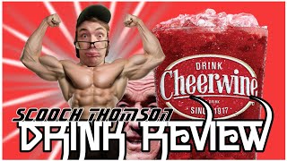 CHEERWINE REVIEW  Scooch Thomson Drink Review [upl. by Chaim]