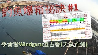 釣魚爆箱祕訣1 學會看懂Windguru天氣預測有1顆重點★號在影片中 氣象浪高風力釣魚fishing [upl. by Nyved]