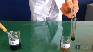 Test of Phenol functional group test [upl. by Lora]