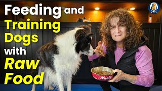 The Raw Feeding Guide To Training Your Dog With All Forms Of Treats 252 podcast [upl. by Haneekas938]