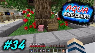 Neue Gesichter und Edgar 😱🐷  Minecraft AQUA 34 [upl. by Gusta257]