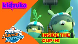 Octonauts Above amp Beyond  🚁 Inside the GUPH ⛑️  Compilation  Kidzuko​ [upl. by Golightly558]