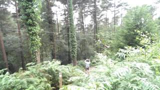 Jamie Reid is Going Ape in Haldon Forest [upl. by Daveen]