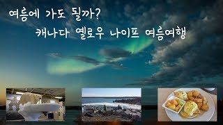 캐나다 옐로우 나이프 여름 여행 Canada Yellowknife Summer Trip 🇨🇦 여름에 옐로우나이프에 가서 오로라를 볼 수 있을까요 Travelog [upl. by Lzeil]