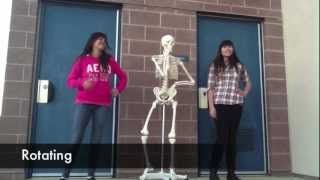 Anatomy Style Music Video for quotAnatomy Slidequot Assignment [upl. by Ennirak]