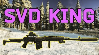 This Ergonomic SVD Build is so GOOD  Escape from Tarkov Weapon Guide [upl. by Llevram191]