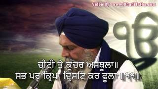 Rahraas Sahib Full Path  Giani Sant Singh Paras Full HD Video [upl. by Nodnar]