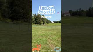 New Ludlow Dog Park is Now Open [upl. by Drapehs196]