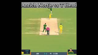 Anrich Nortje vs T Head shorts gaming cricket [upl. by Mcgaw]