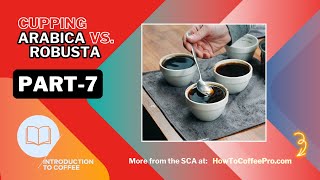 Part 7  SCA Introduction to Coffee CourseCupping Arabica vs Robusta Species [upl. by Latrice819]