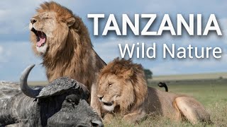 Discover Tanzania Wildlife History and Must Visit National Parks [upl. by Brookhouse]