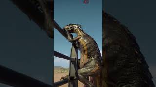 Indoraptor Climbs Fences  Jurassic World Evolution 2  Update 2 [upl. by Quincy]