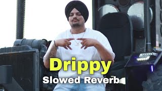 Drippy Sidhu Moose Wala Slowed Reverb [upl. by Shivers720]