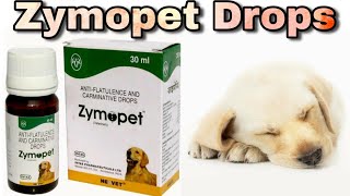 Zymopet For Dogs  Dog Digestive System  Happypet [upl. by Cathie]