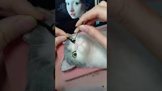 New Work Needle Felted Cat Projects Girl with a Pearl Earring  Needle Felting ASMR [upl. by Anaitsirc]