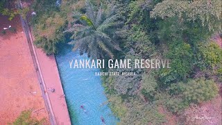 Explore Yankari Game Reserve [upl. by Jovitah393]