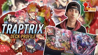 Deck Profile TRAPTRIX [upl. by Ednihek444]