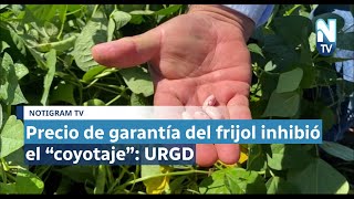 Precio de garantía del frijol inhibió el “coyotaje” URGD [upl. by Yenetruoc]