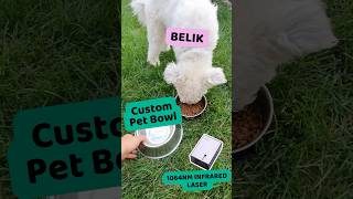 Customize a pet bowl by using IR laser on Snapmaker Artisan dog laserengraving cutepets diy [upl. by Wendye725]