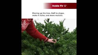 12 ft Noble Fir Full Christmas Tree with 2000 Twinkle LED Lights [upl. by Htebazile513]