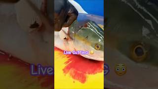 HavE yoU eVeR sEEn tHis 🫣 fish fishcuting short shortvideo shortsvideo trending viralvideo [upl. by Lorant]