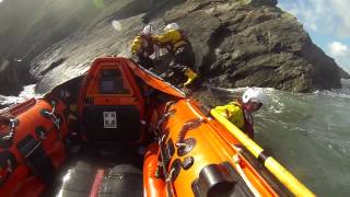 Springer spaniel rescued by RNLI after a week trapped on rocks near Minehead [upl. by Black748]