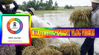 BASIC STEPS TO CREATE INDEPENDENT VLOG VIDEOS [upl. by Ikim450]